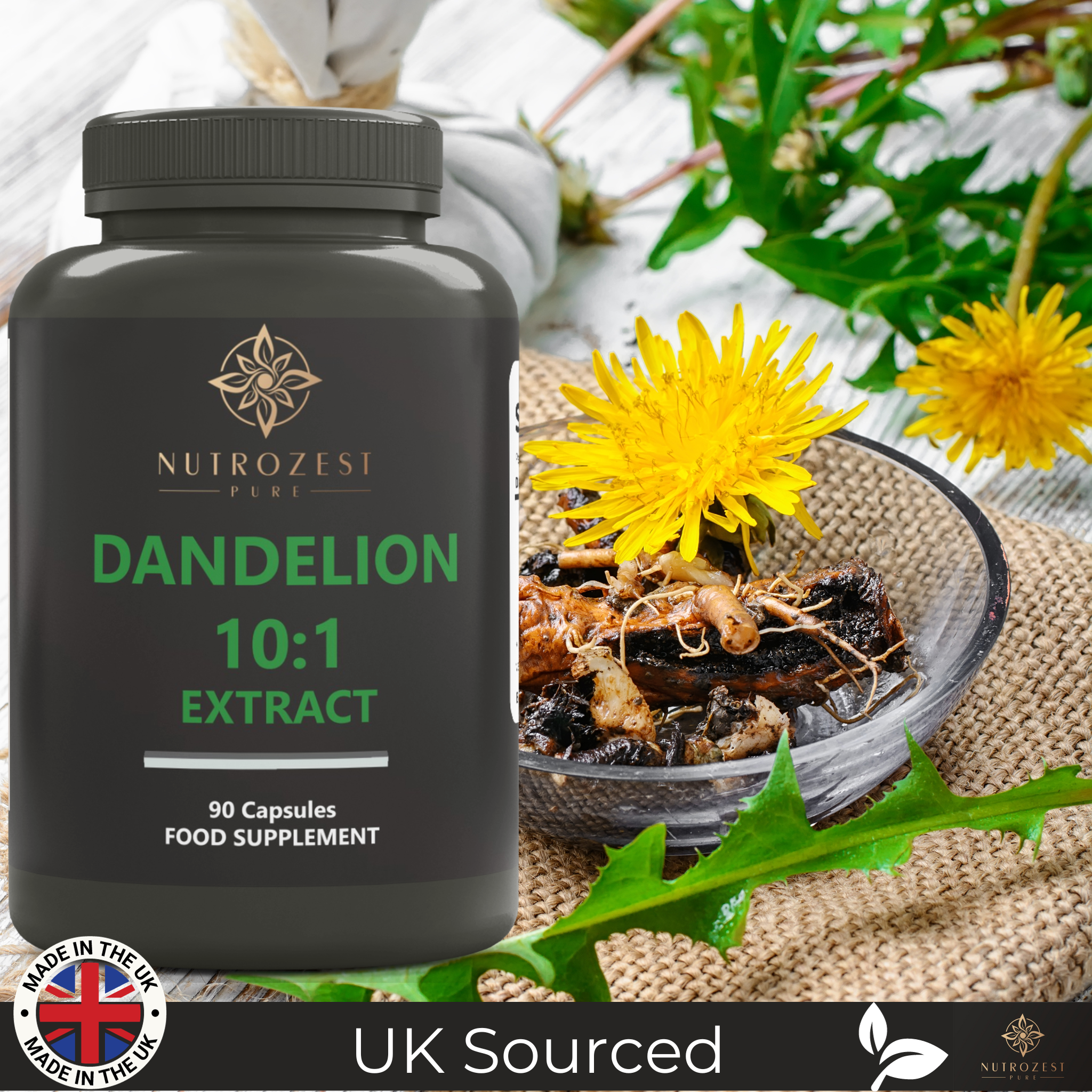 Dandelion root 10:1 extract 